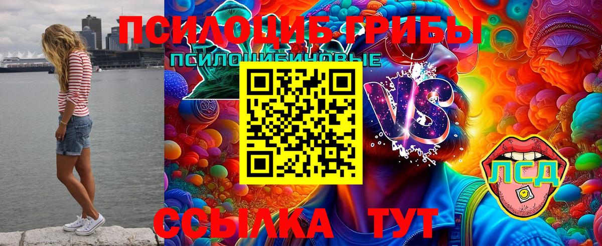 Галлюциногенные грибы мицелий  Вход с VPN  Элиста 