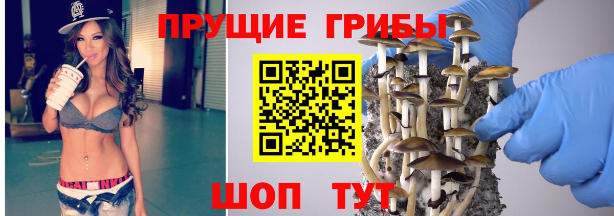 Галлюциногенные грибы ЛСД Элиста