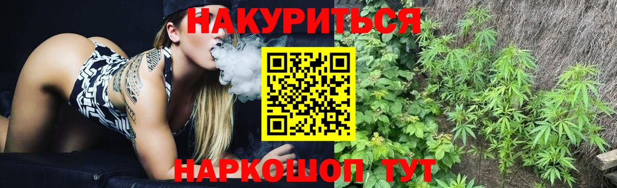 Каннабис индика Элиста